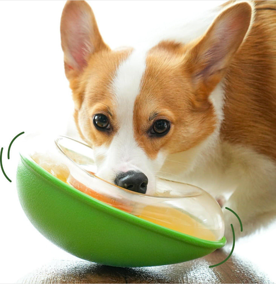 Pet feeding bowl